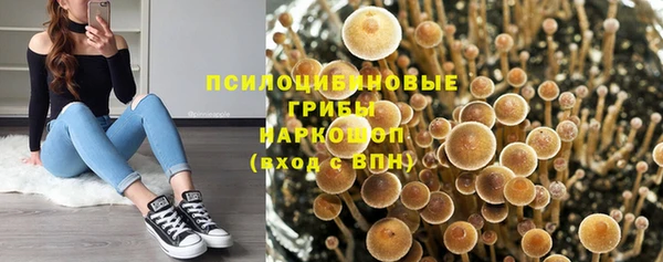 стафф Алексеевка