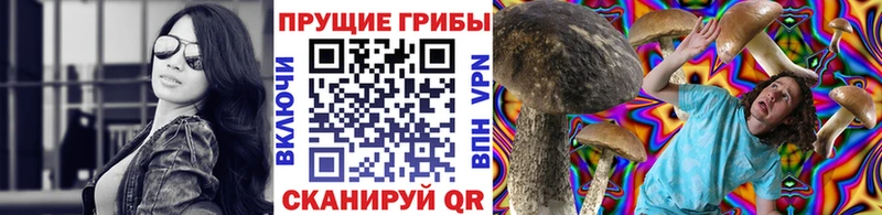 Псилоцибиновые грибы Magic Shrooms  дарнет шоп  Невьянск 